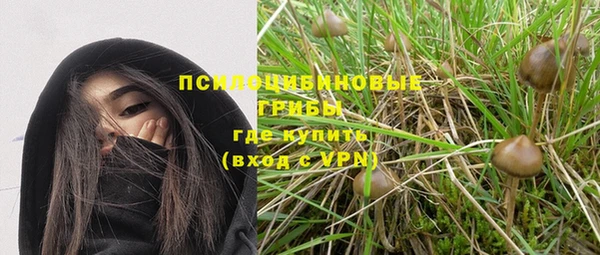 mdpv Нея