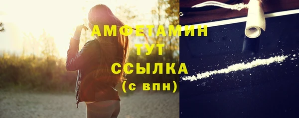 сатива Новокубанск
