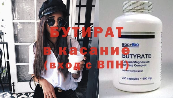 шишки Новодвинск