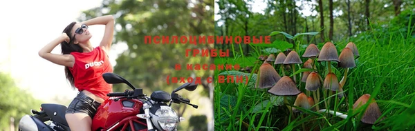 спайс Нефтекумск