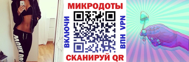 Купить где  Заволжье  Псилоцибиновые грибы Psilocybe 